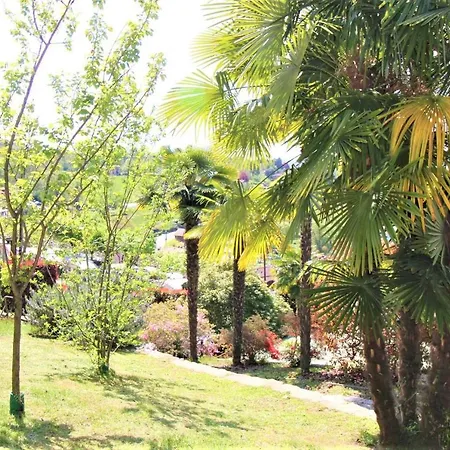 A Lovely Picture On The Lake Apartament *